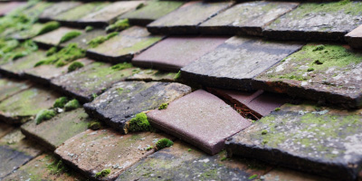 Cadsden roof repair costs